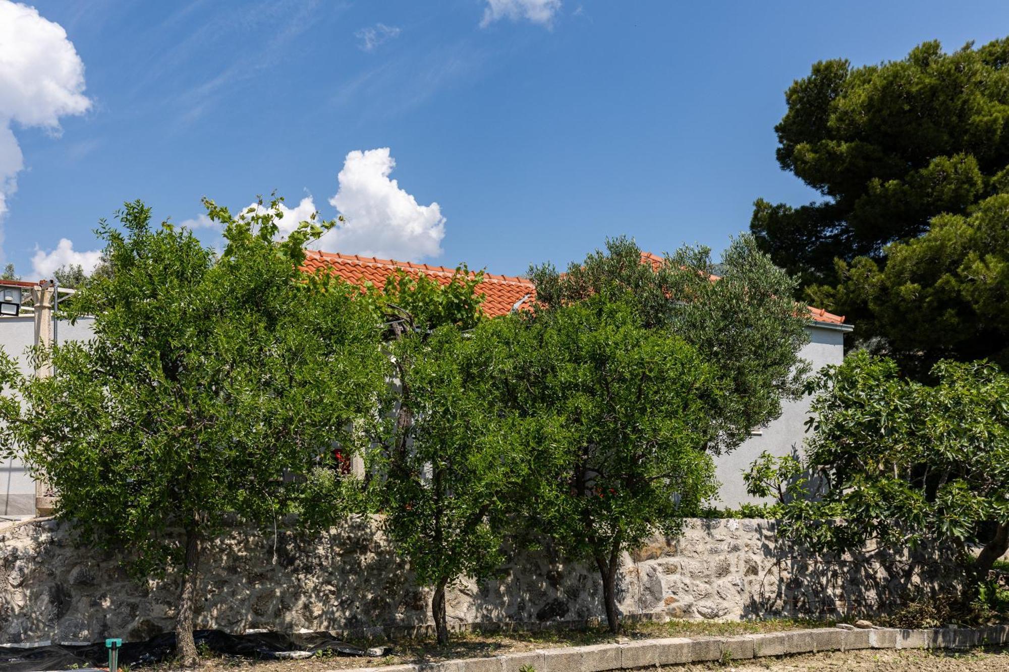 Apartments Roza Mlini Rum bild